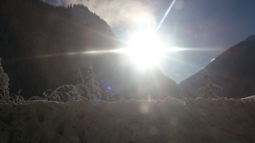 Sun-rays in winter wonderland
